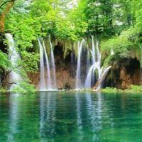 Profile picture for user shefaaandy