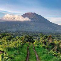 Profile picture for user Alfonsolenca