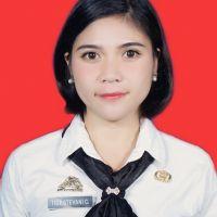 Profile picture for user TiceStevani