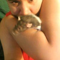 Profile picture for user MononymousRae