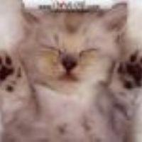 Profile picture for user spieddaignel
