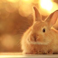 Profile picture for user jotav