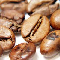 Profile picture for user sanboneng