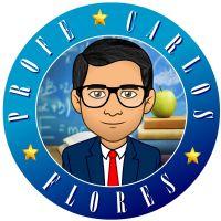 CARLOS FLORES CASTRO