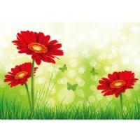 Profile picture for user kimmiwon526