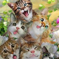 Evelyn Daniela Torres Cahuasquí ?