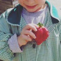 Profile picture for user mfarra5