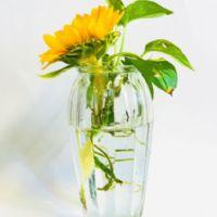 Bùi Thị Thu Yến