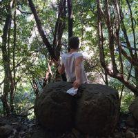 Profile picture for user bpalomeram