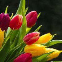 Profile picture for user Oruguita85