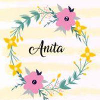 ANA AMELIA BRIONES CARCHI