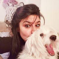 Profile picture for user alessianet