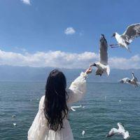 Profile picture for user amal_feqiri