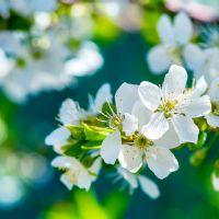 Profile picture for user iwonac