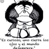 Profile picture for user profedeguille