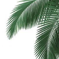 Profile picture for user Cleonice3289