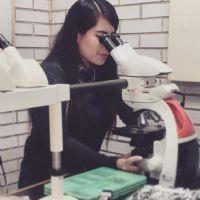 Profile picture for user MasterVaniaReyes