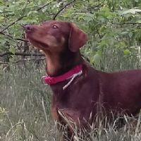 Profile picture for user mirandella