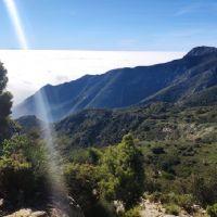 Francisco Cerván Bernal