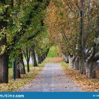 Profile picture for user ReinaF