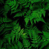 Profile picture for user katarzynabudys