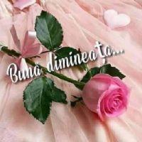 Profile picture for user FRASINA