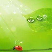 Profile picture for user Ms Moon