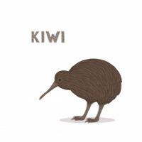 Profile picture for user MCampodonico