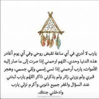 Profile picture for user umomran6959