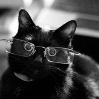 Profile picture for user helenyanuk