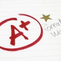 SAMEER ESSA MUHAMMED HARDI