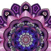 Profile picture for user anabonarr