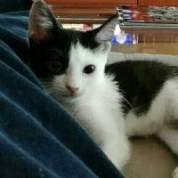 Profile picture for user pilargdelc