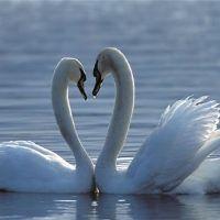 Enma Aurora.Ruiz Acaro