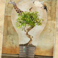 Profile picture for user BCecilia