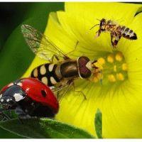 Profile picture for user emp_112365