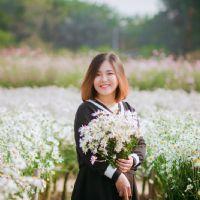 Tống Thị Kim Loan 