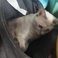 Profile picture for user JaneSee