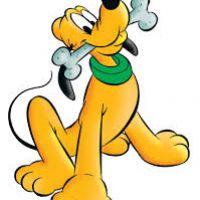 Profile picture for user Danygute