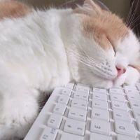 NORLIDA BINTI SALLEH