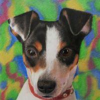 Profile picture for user kikagp