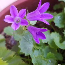 Profile picture for user TeresaRSev