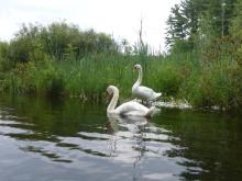 Profile picture for user Emilce