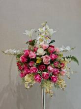 Profile picture for user krupom2021