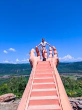 Profile picture for user MissGreissi