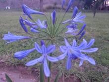 Profile picture for user Andeee