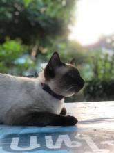 Profile picture for user suntharee