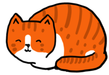 Profile picture for user ngocngo