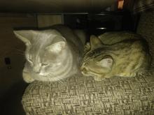 Profile picture for user janeaguicar