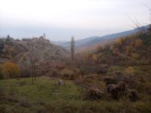 Profile picture for user lifabiola